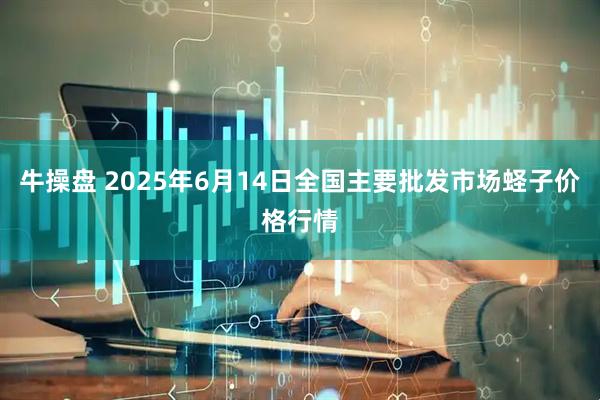 牛操盘 2025年6月14日全国主要批发市场蛏子价格行情